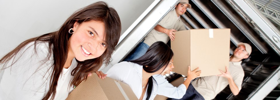 Professional Removalists Blue Mountain